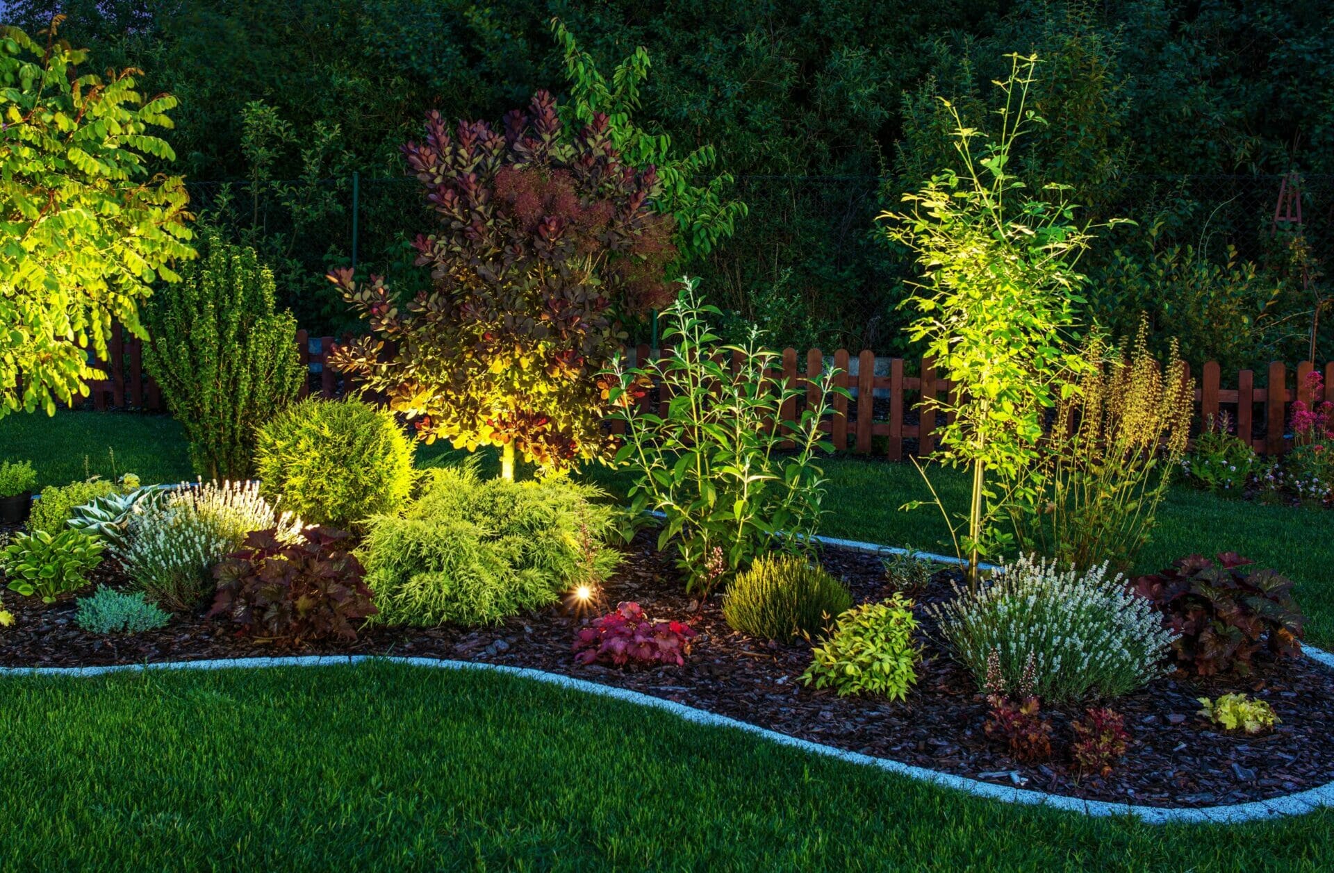 Illuminated Garden by LED Lighting. Backyard Garden at Night