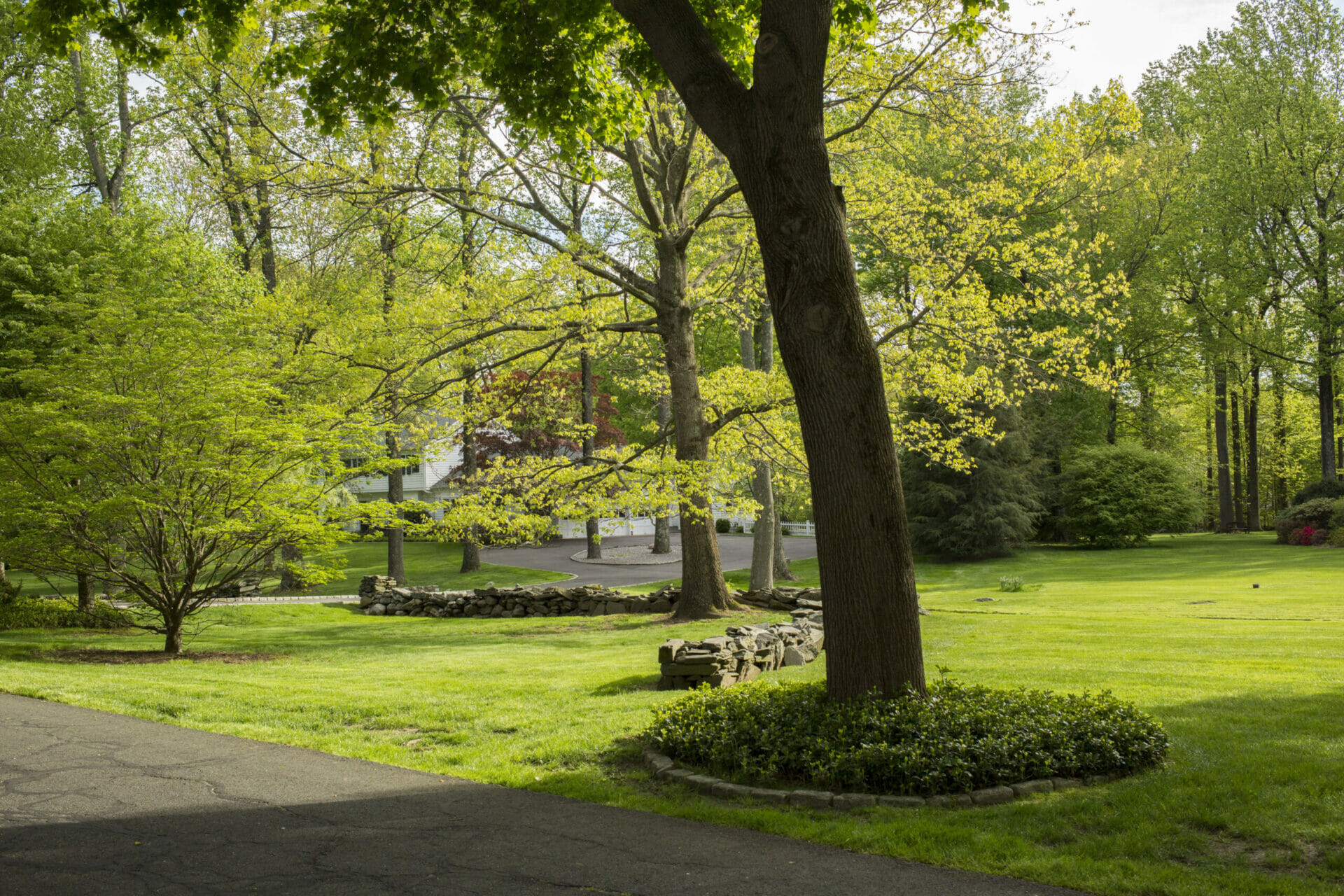 Beautiful landscape work around tree and road