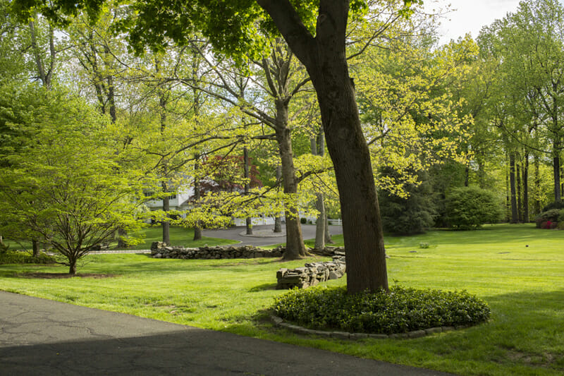 Clean cut landscape in Cos Cob CT